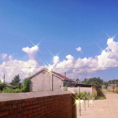 发行价超出底价50%！000962定增受追捧